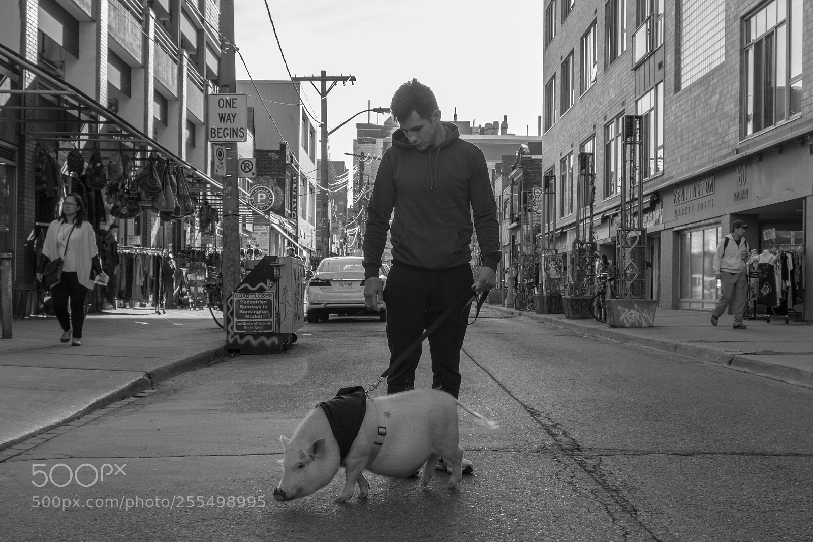 Fujifilm X-T20 sample photo. Afternoon walk photography