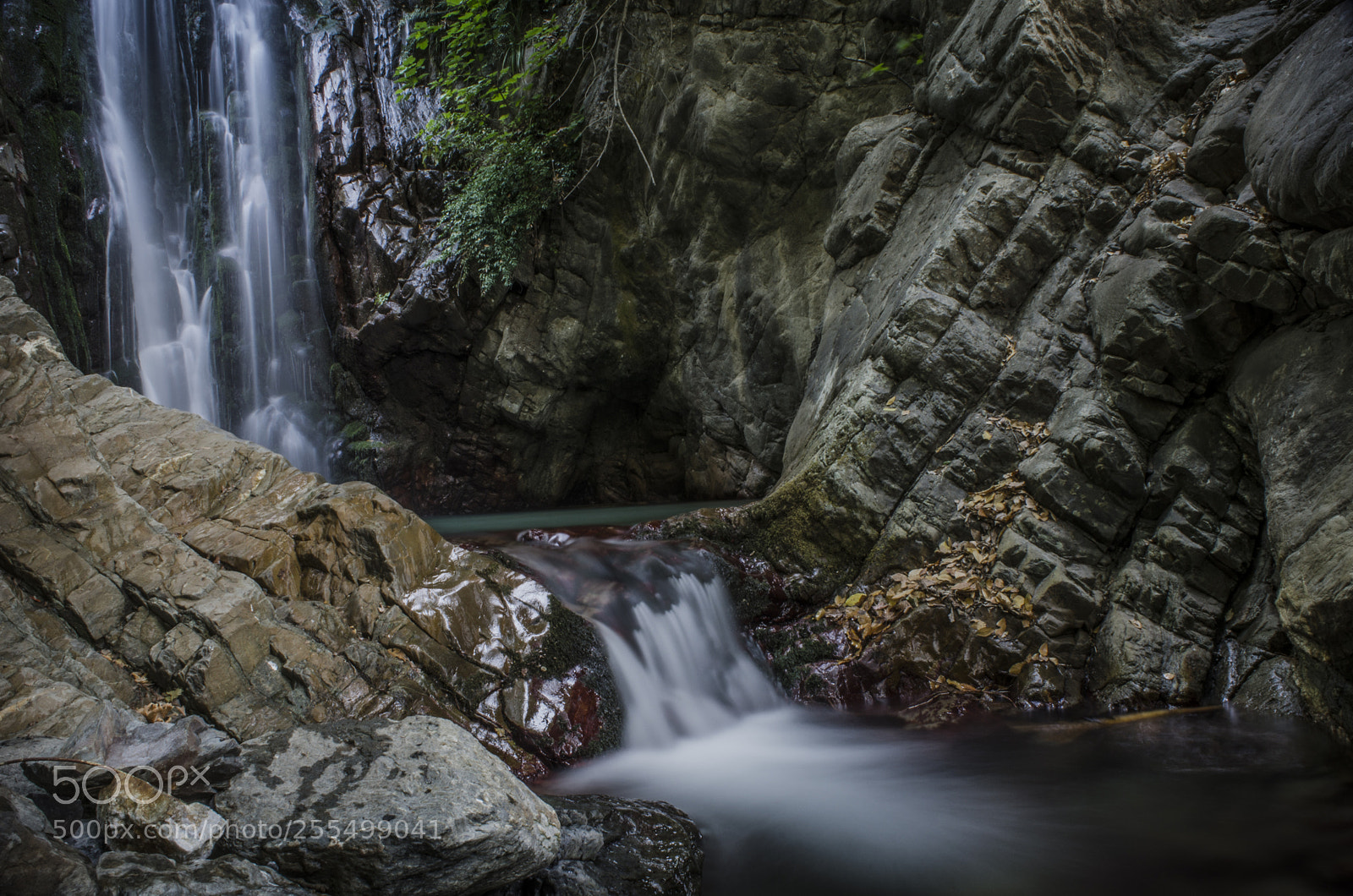 Nikon D7000 sample photo. Untitled photography