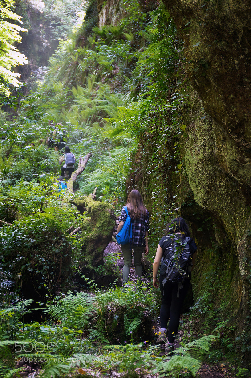 Canon EOS 5D Mark IV sample photo. Hikers in deep gorge photography
