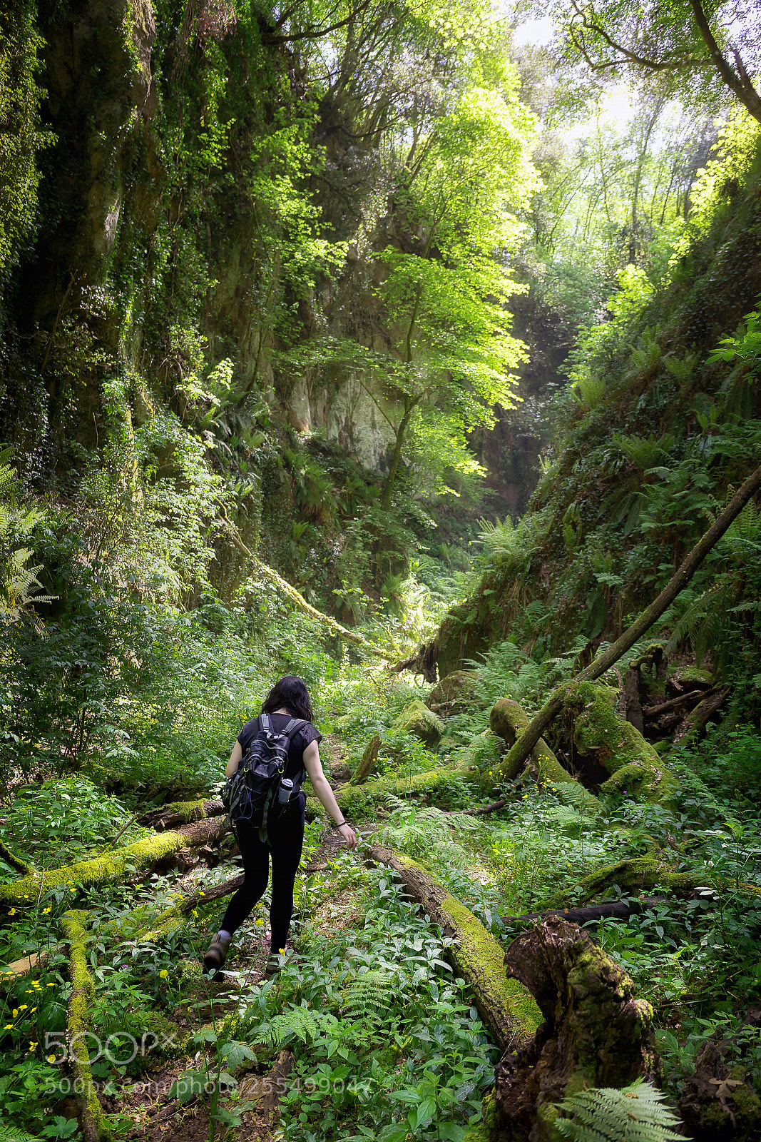Canon EOS 5D Mark IV sample photo. Hiker in deep gorge photography