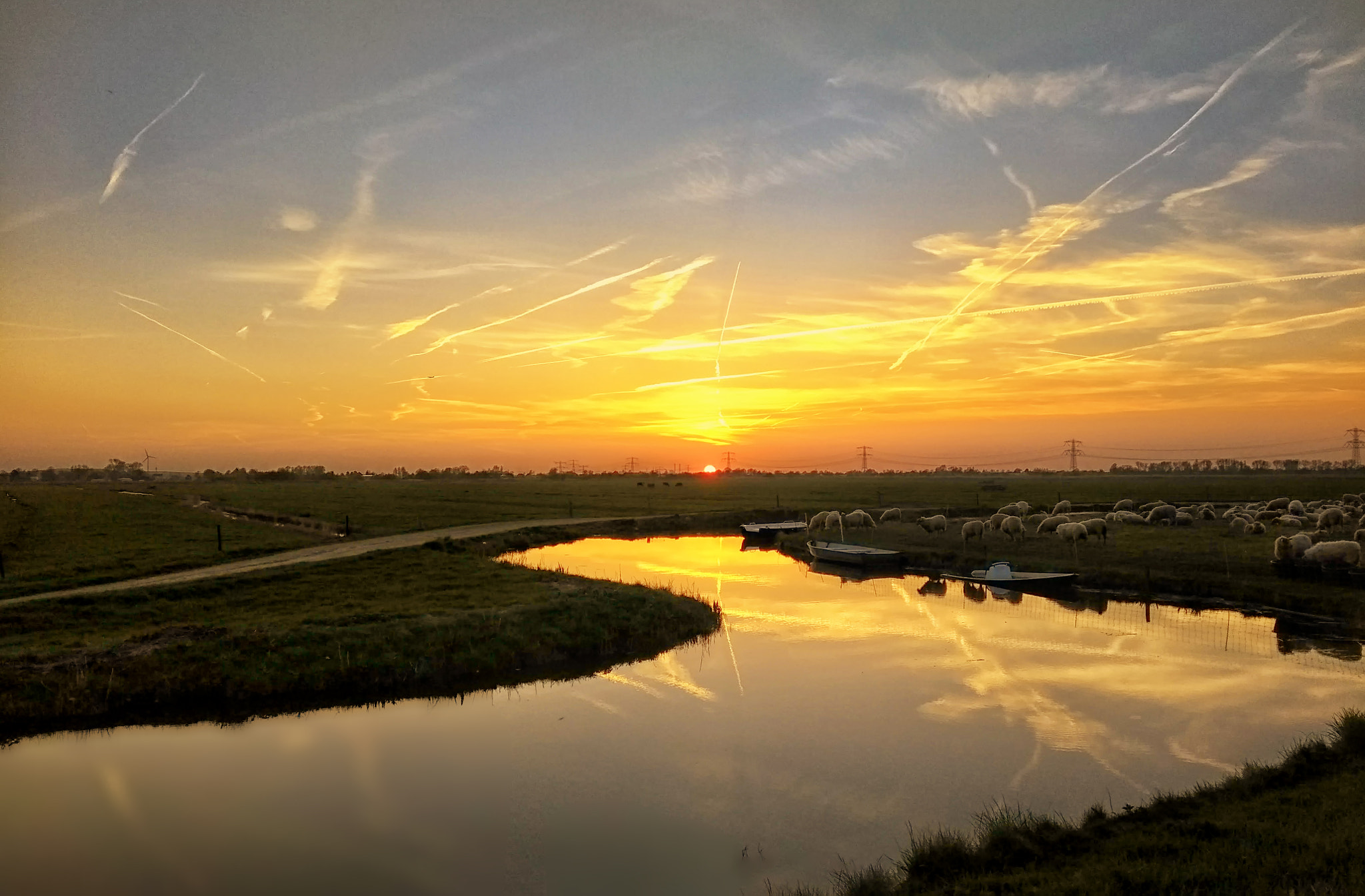 Motorola Moto G (5th Gen) sample photo. Sheep at sunset 2 photography