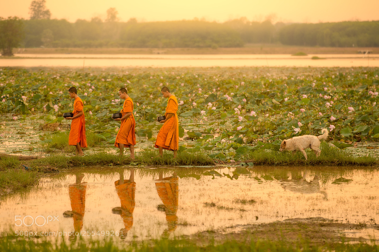 Canon EOS 6D sample photo. The walking monks 2 photography