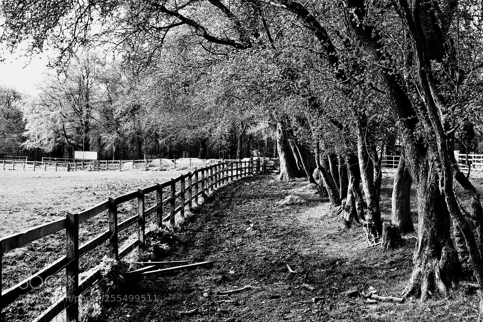 Canon EOS 70D sample photo. Pigpens, fence and trees photography