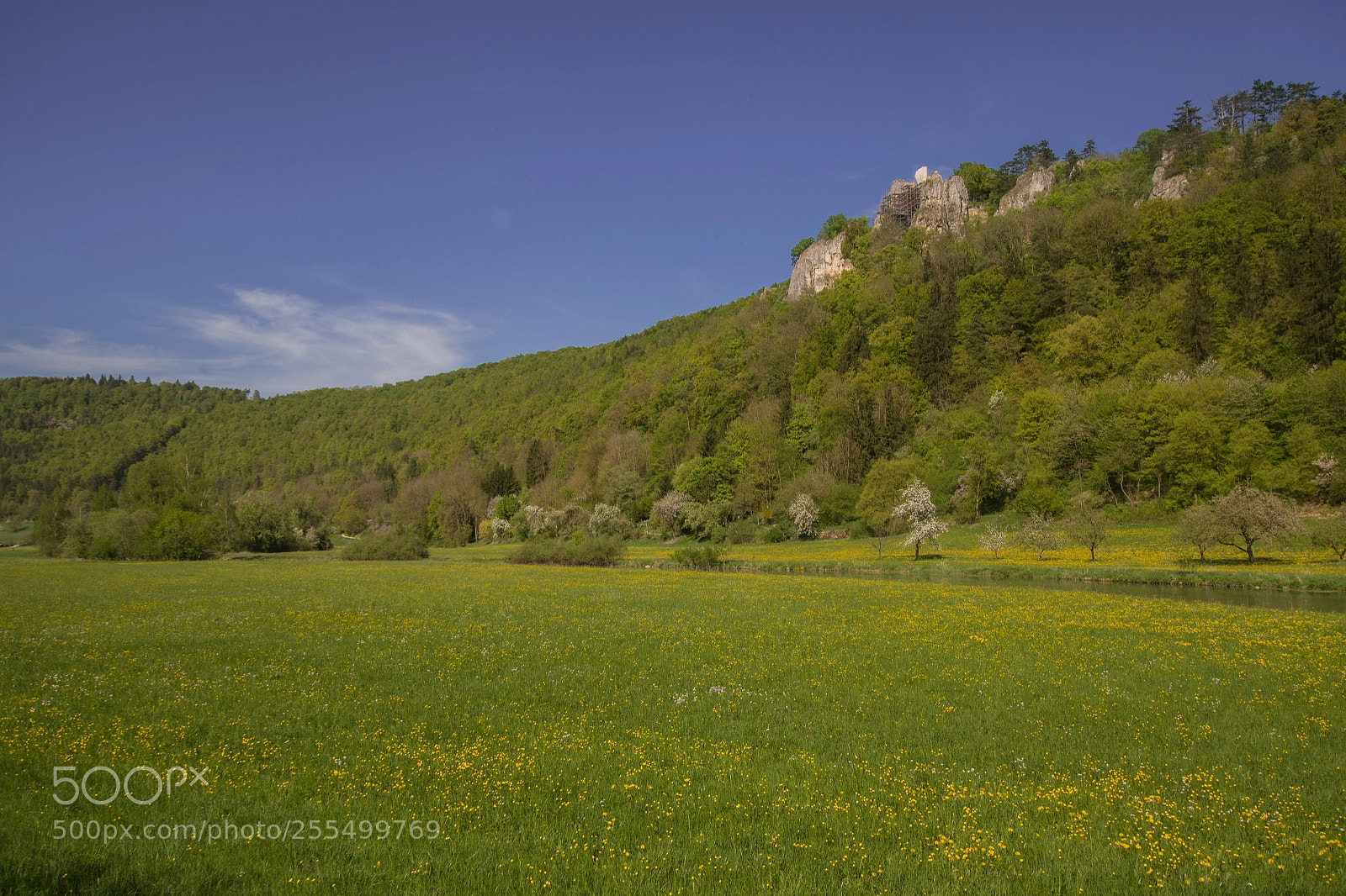 Pentax K-1 sample photo. Blau valley in spring photography