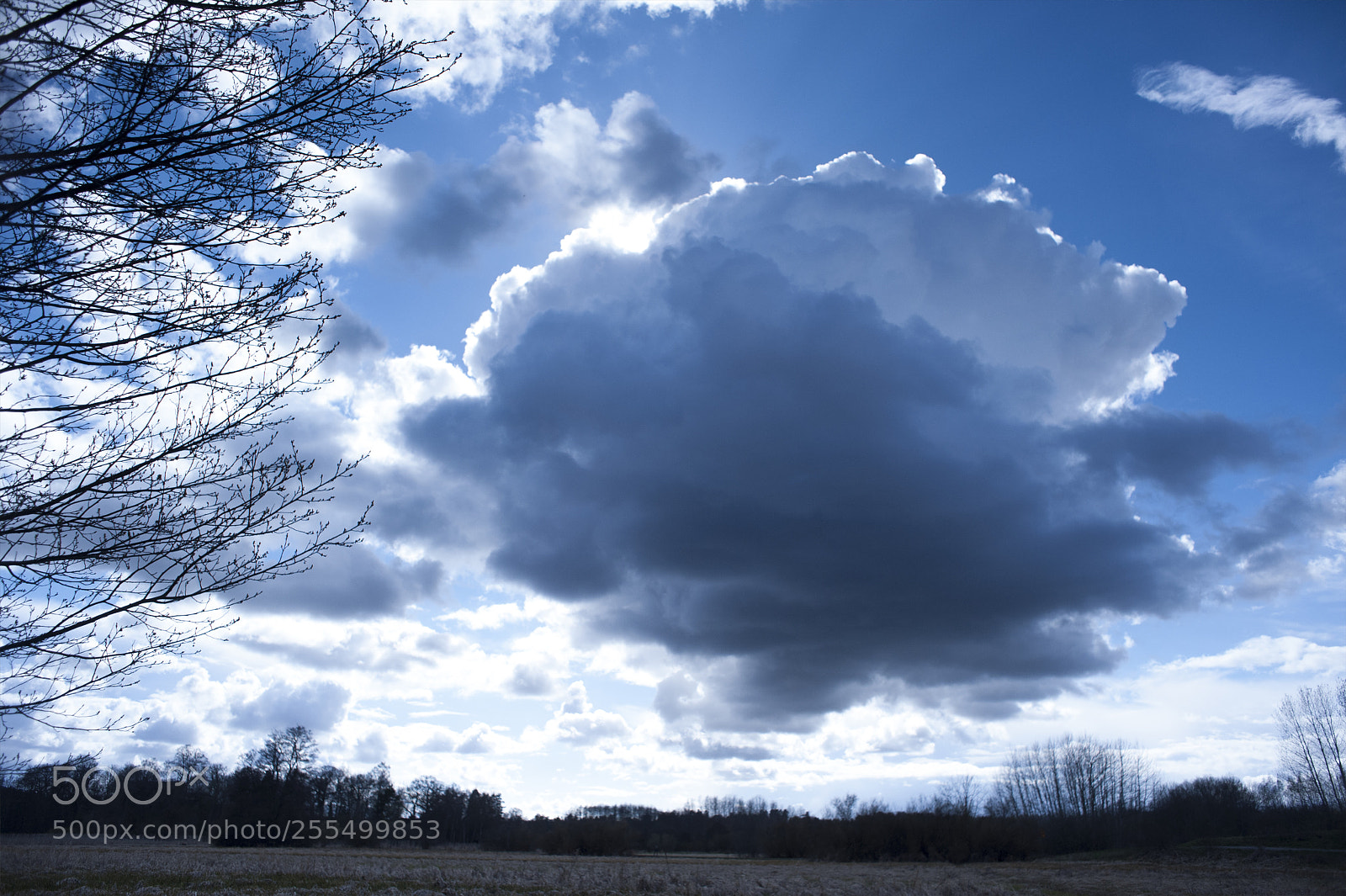 Nikon D700 sample photo. A landscape with blue photography