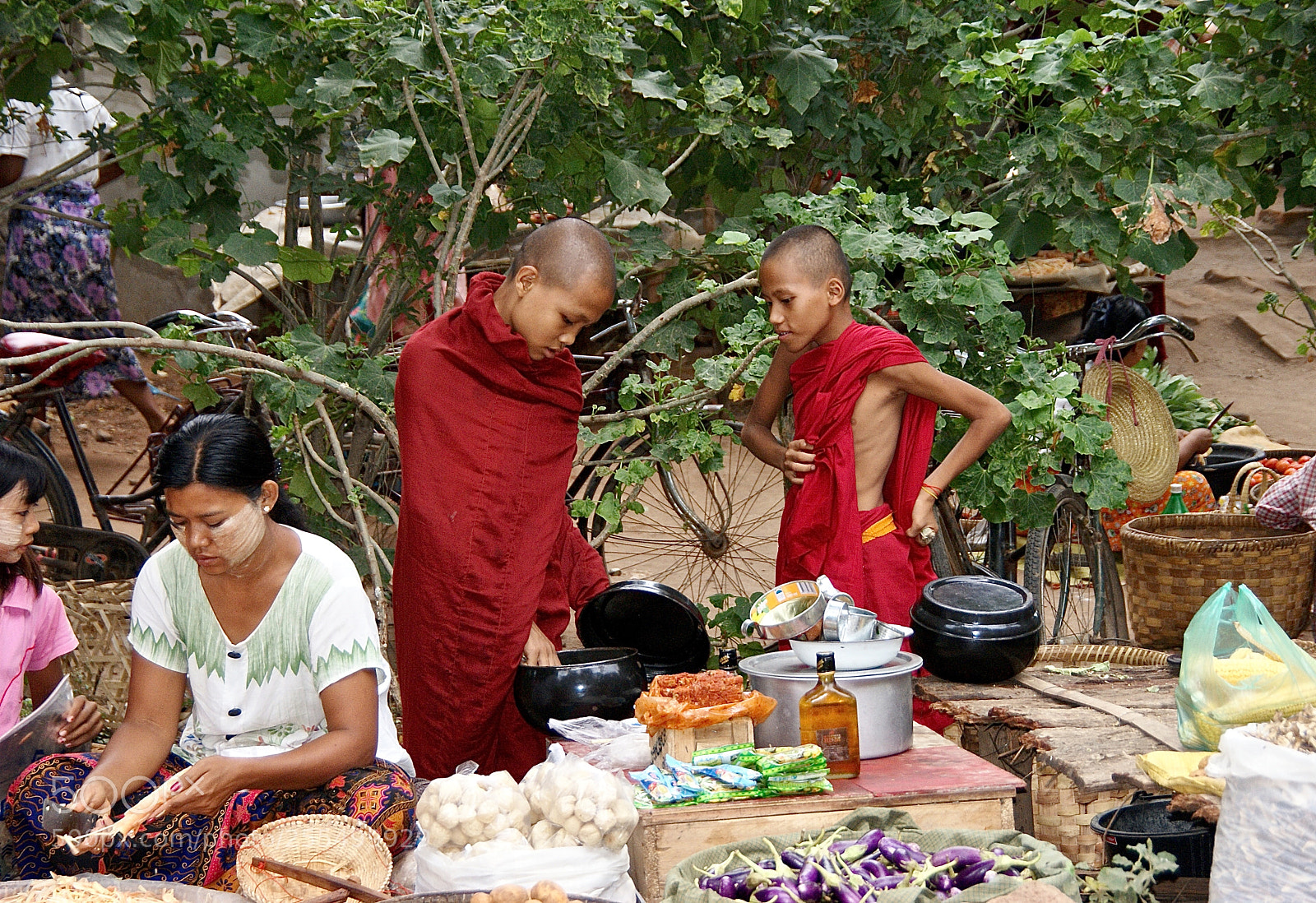 Sony Alpha DSLR-A300 sample photo. Burma road photography