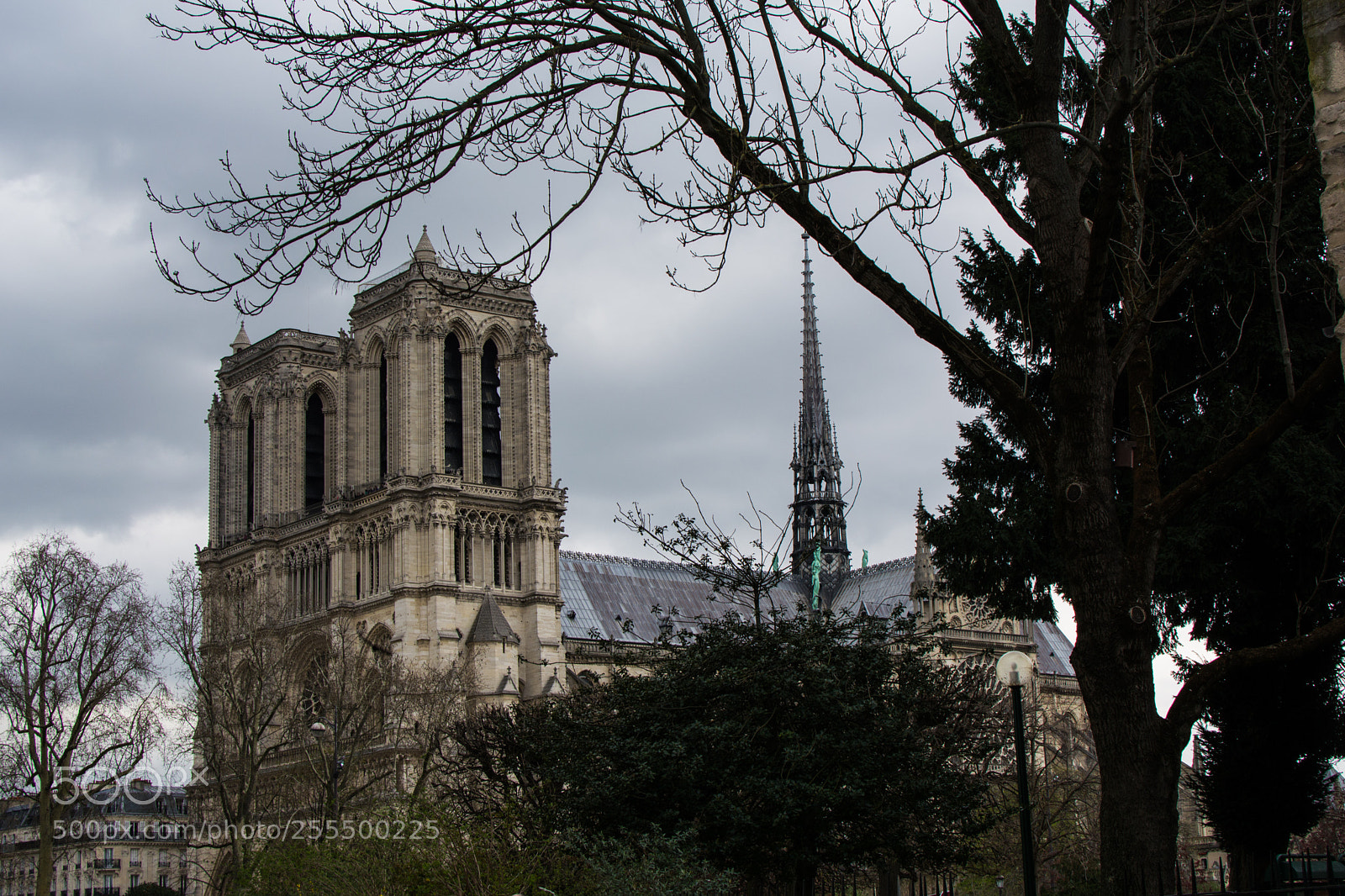 Nikon D5200 sample photo. Notre dame photography