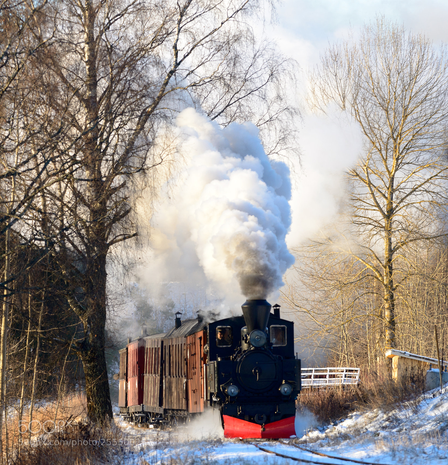 Nikon D800 sample photo. Winter outing photography