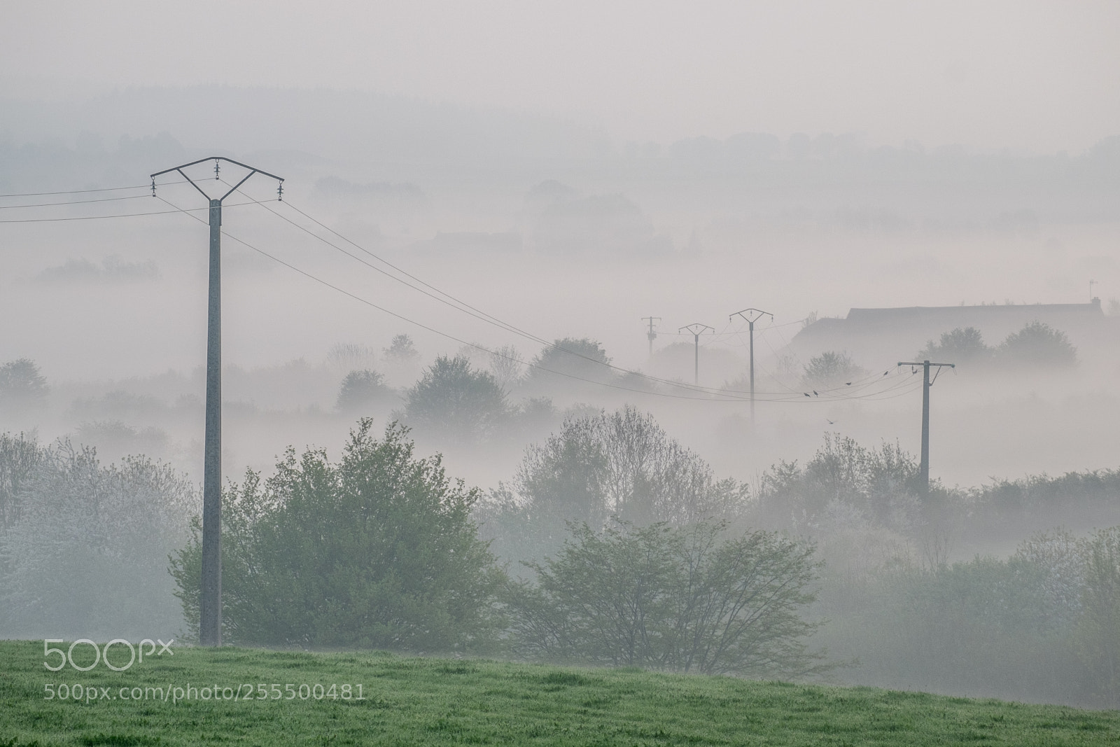 Fujifilm X-M1 sample photo. Brume et profondeur photography