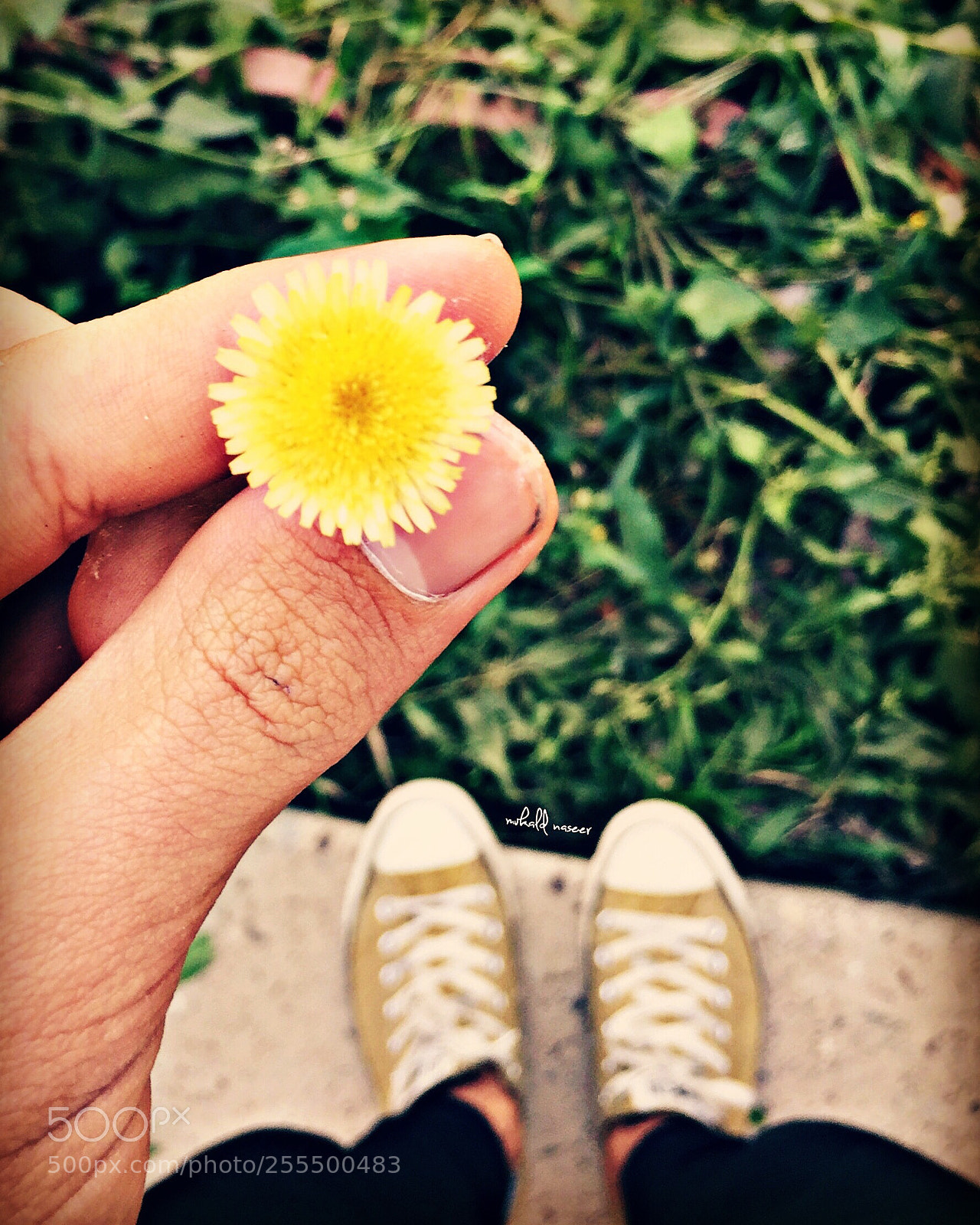 Apple iPhone 6 sample photo. Untitled photography