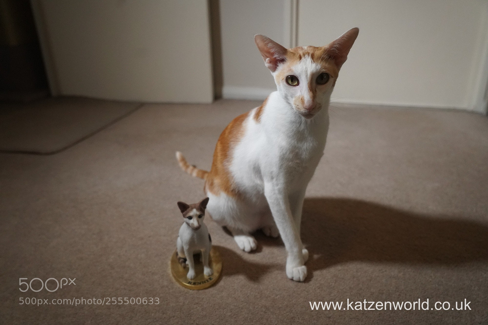 Sony a9 sample photo. Renegade: it's a doppelganger? photography