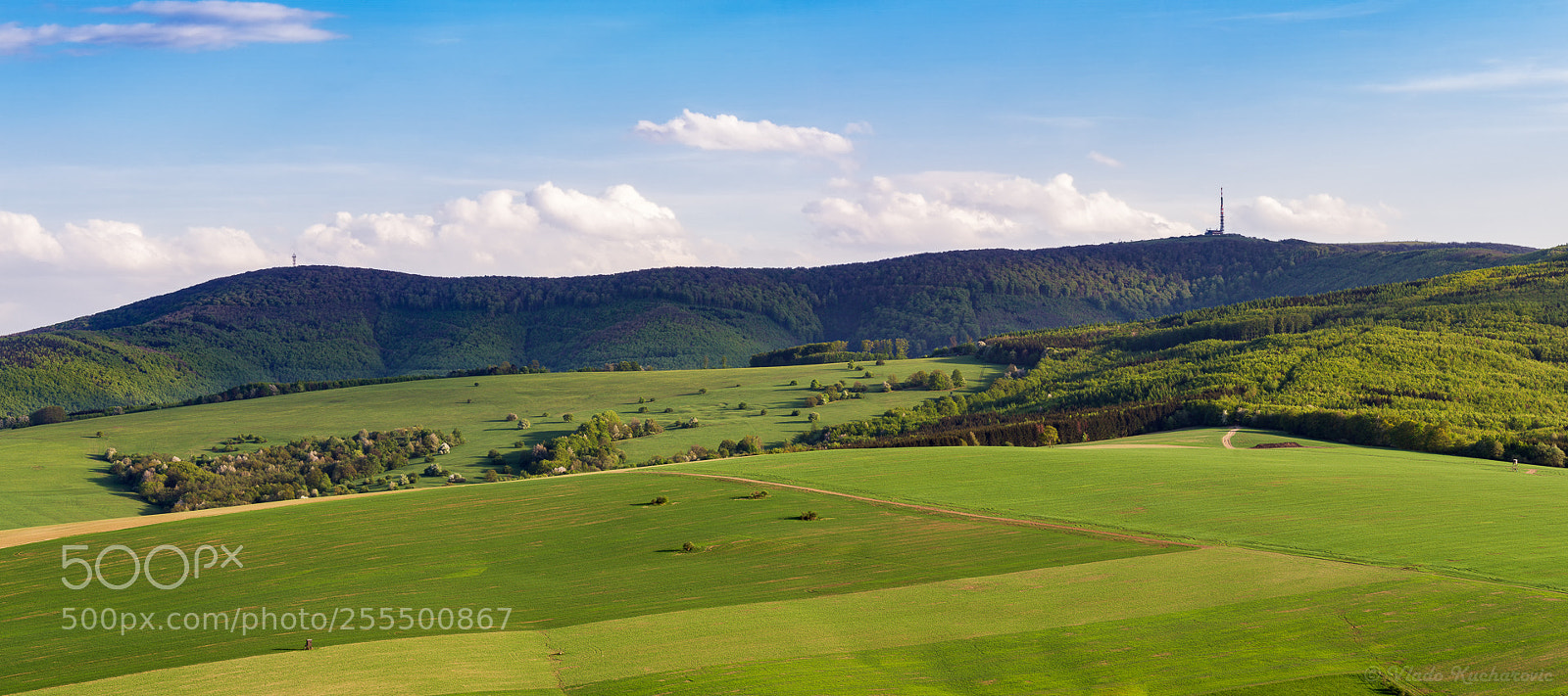 Canon EOS 7D sample photo. Springtime photography