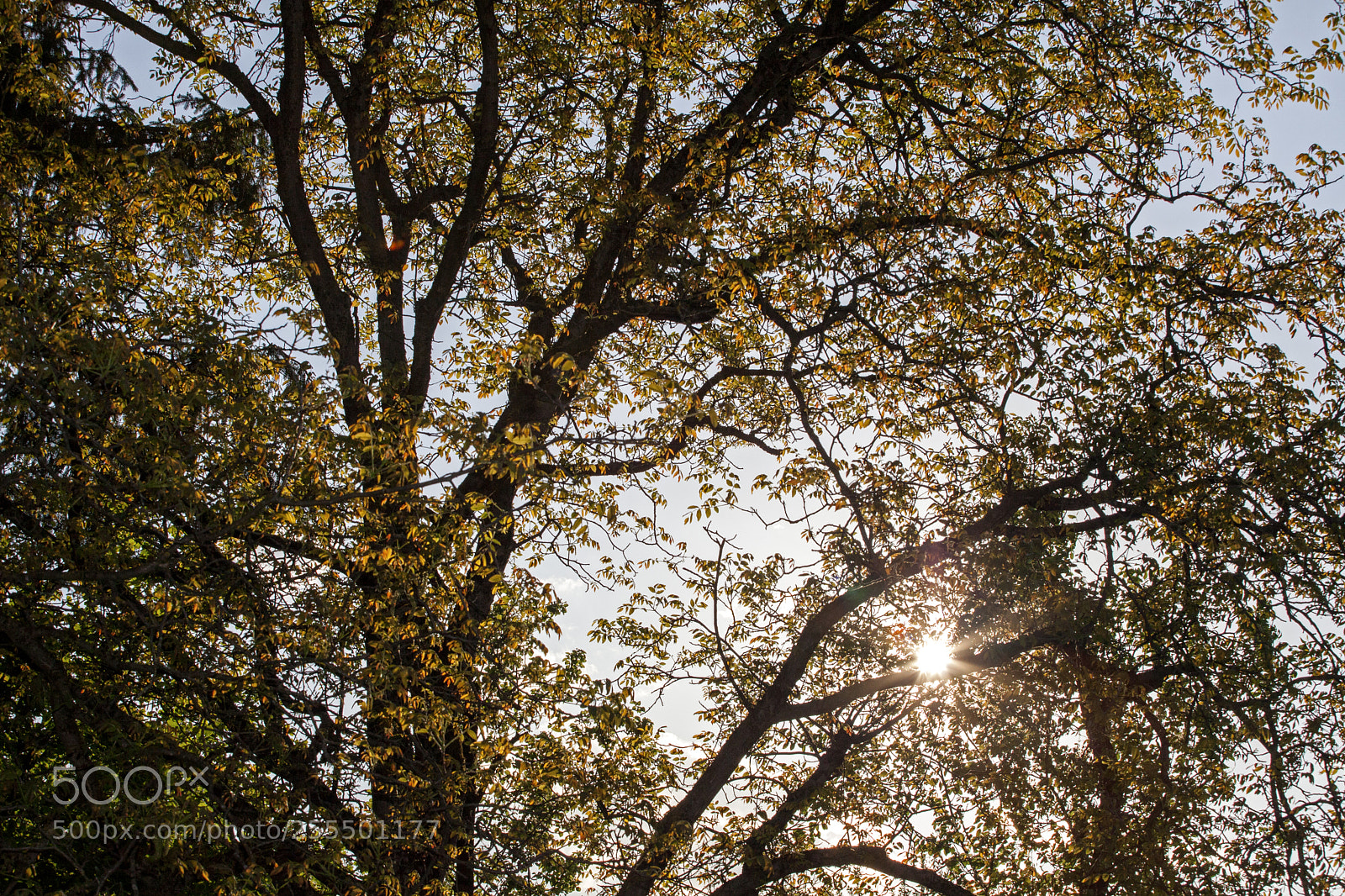 Canon EOS 5D Mark II sample photo. Sunset photography