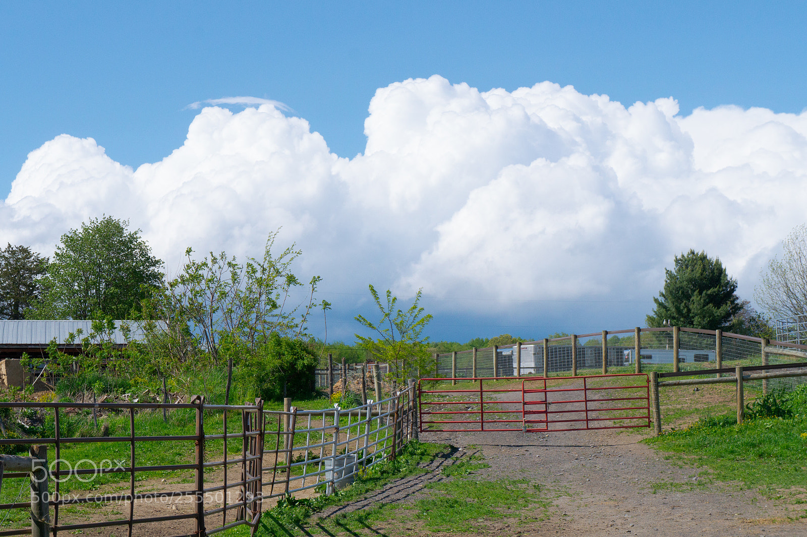 Sony Alpha a3000 sample photo. Lenticular sighting photography