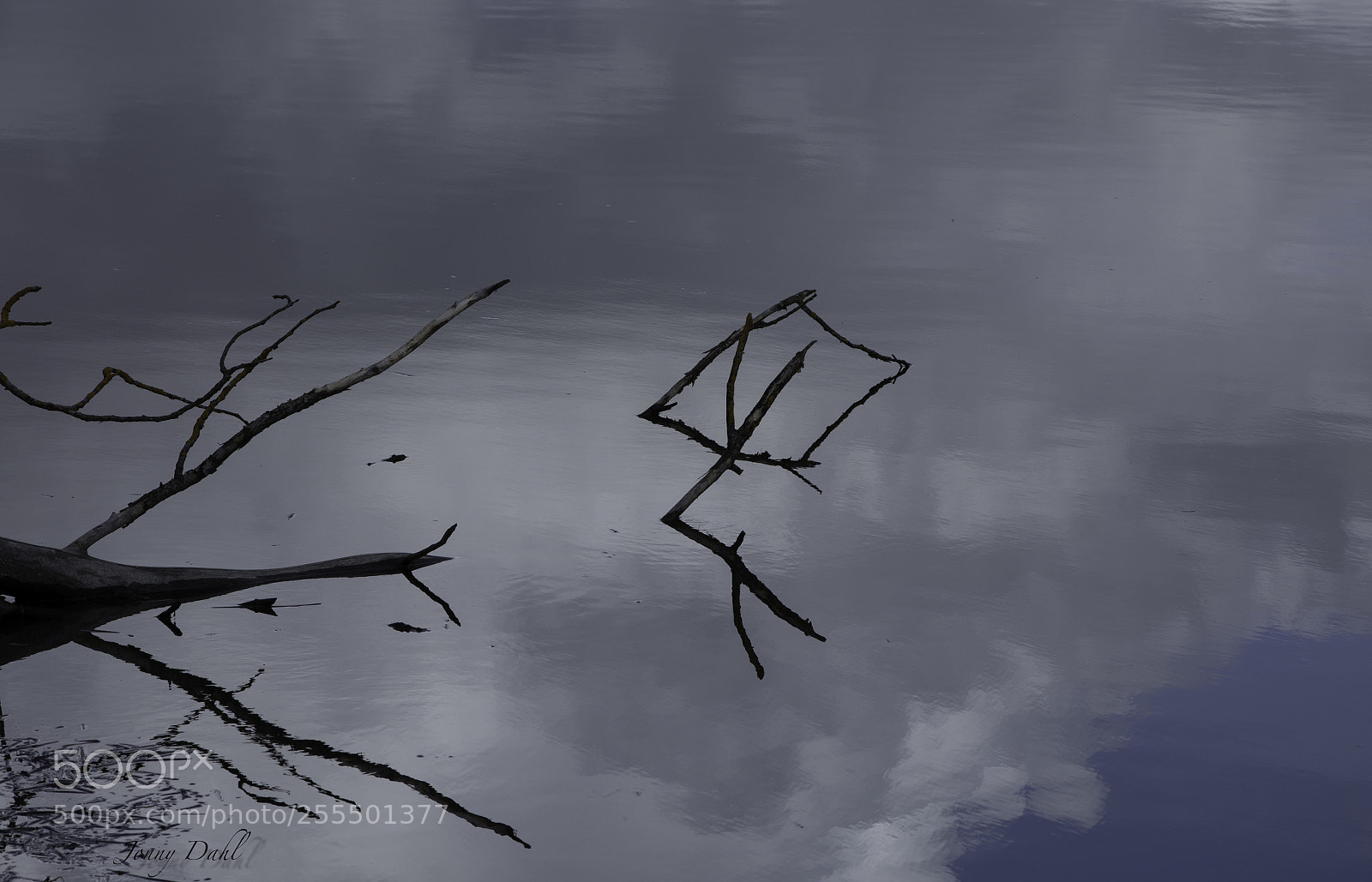 Canon EOS 5D Mark IV sample photo. Reflection of water photography