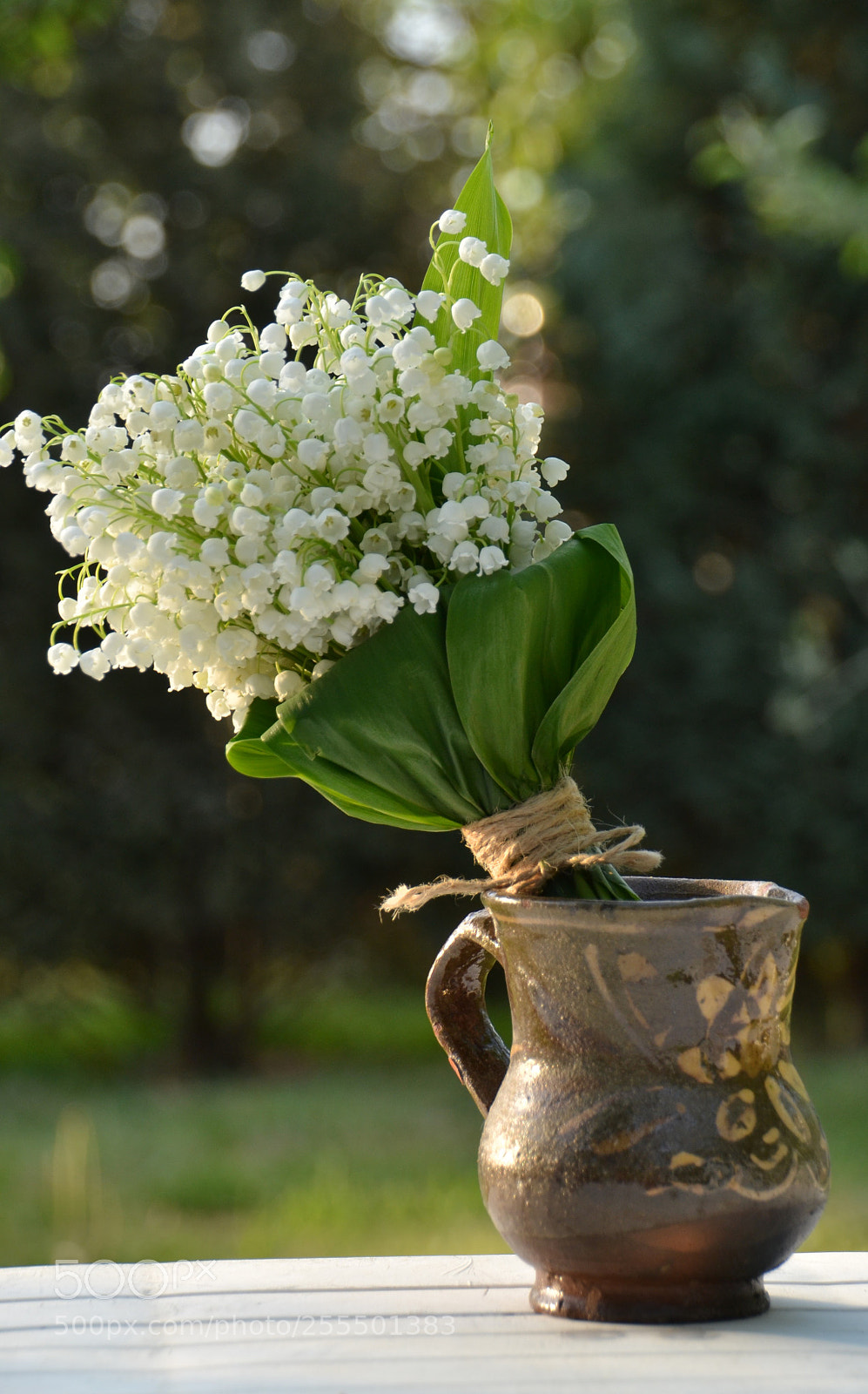 Nikon D3100 sample photo. Untitled photography