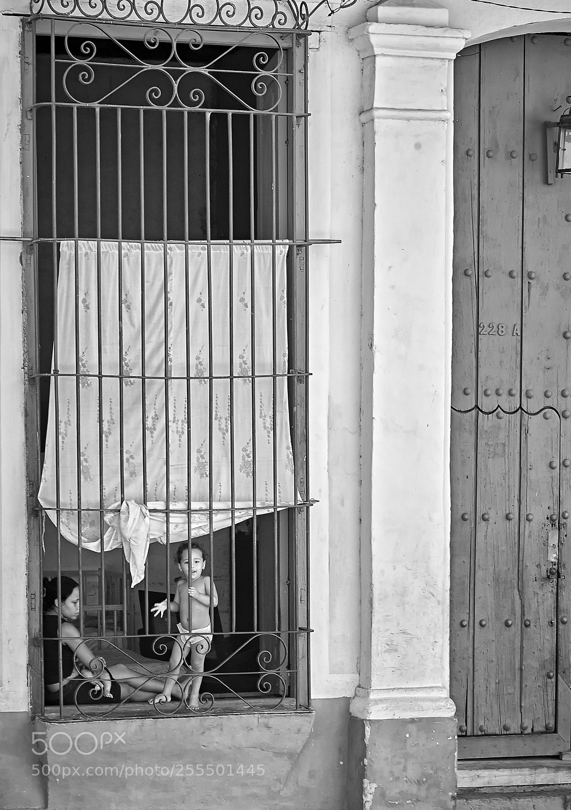 Nikon D2X sample photo. Criaturas photography
