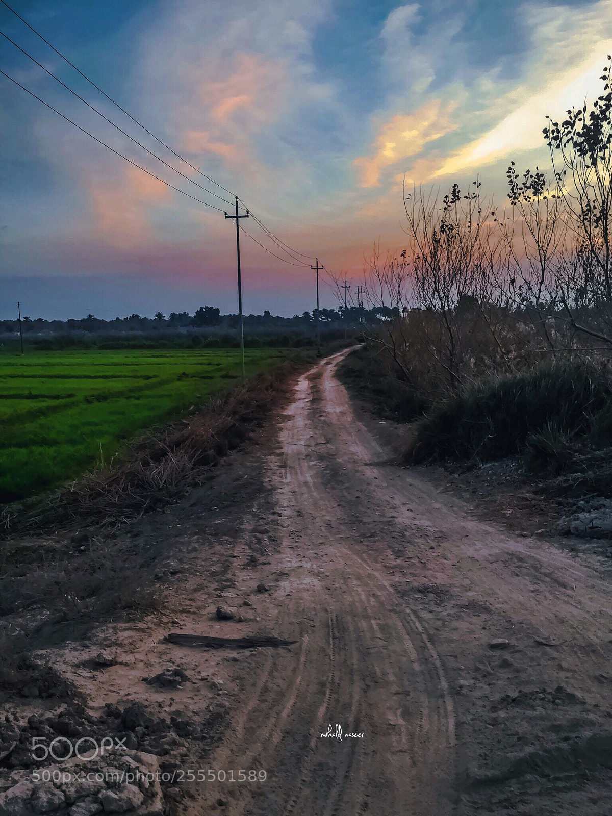 Apple iPhone 6 sample photo. Untitled photography
