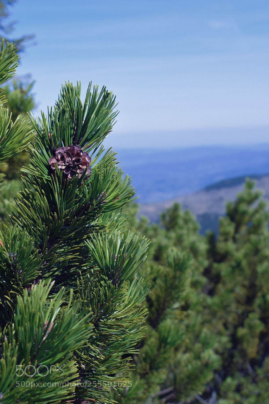 Nikon D3300 sample photo. In the mountains photography