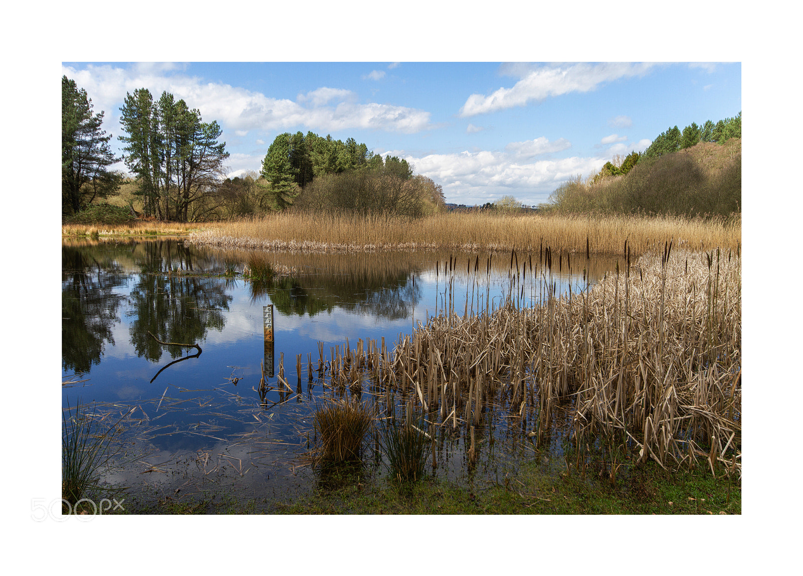 Canon EOS 7D sample photo. Morton loch 2 photography