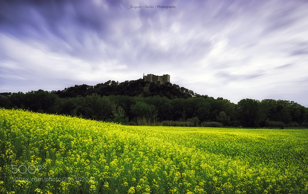 Nikon D800 sample photo. Castle of la roca photography