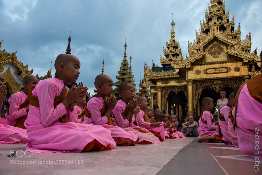 Canon EOS 6D sample photo. Prayer in shwedagon temple photography