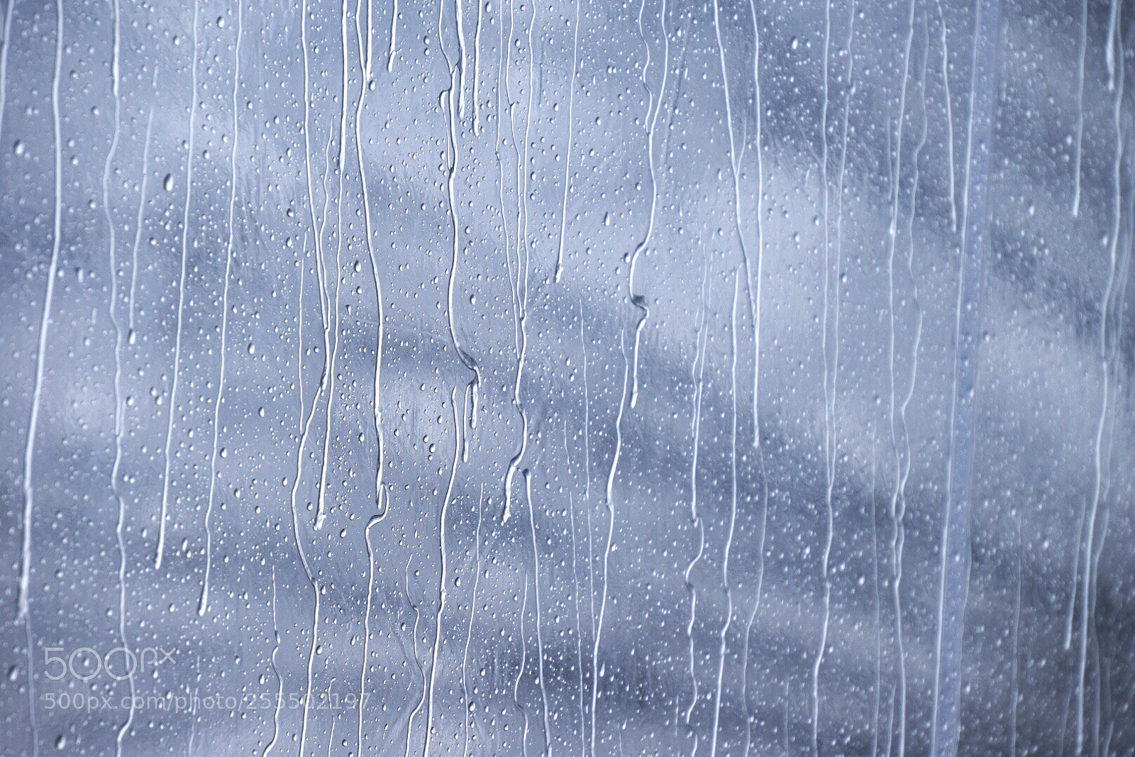 Nikon D5600 sample photo. Rain photography