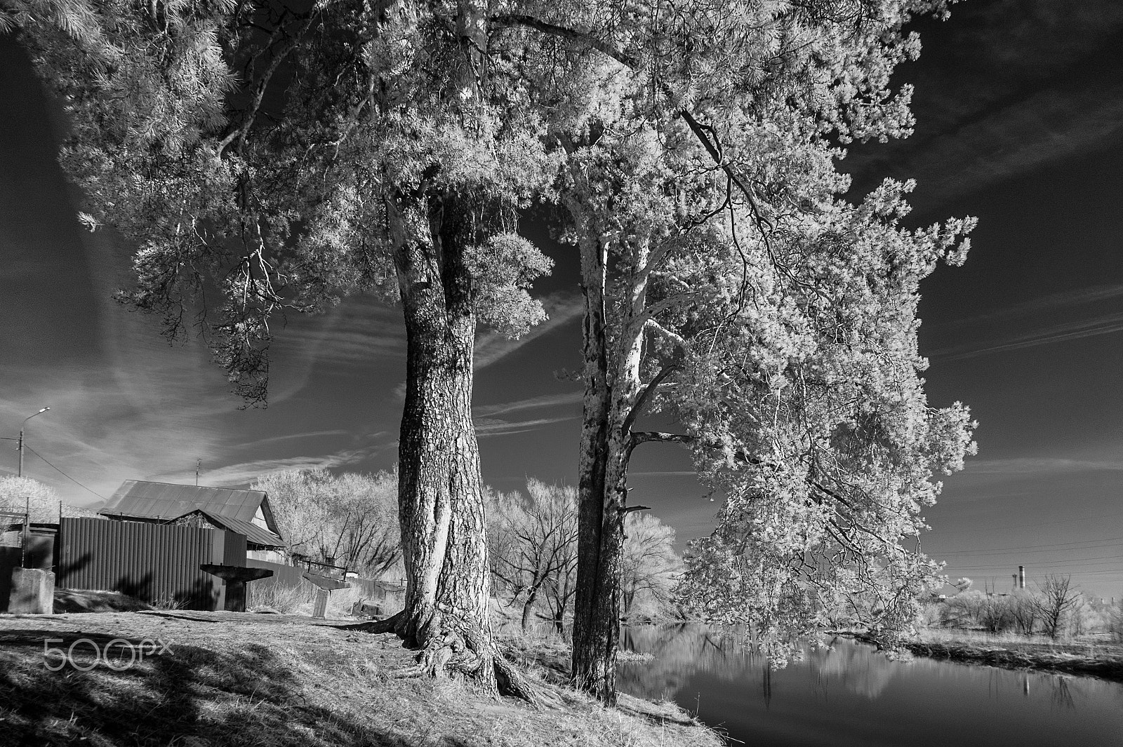 Sony Alpha NEX-3 sample photo. Infrared spring photography