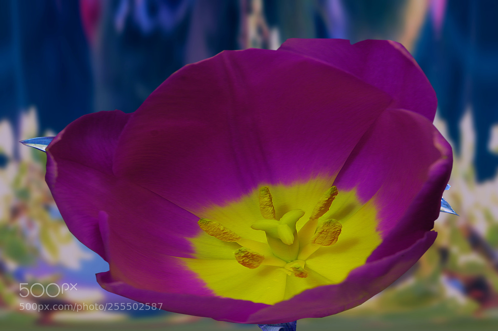 Nikon D7100 sample photo. Untitled photography