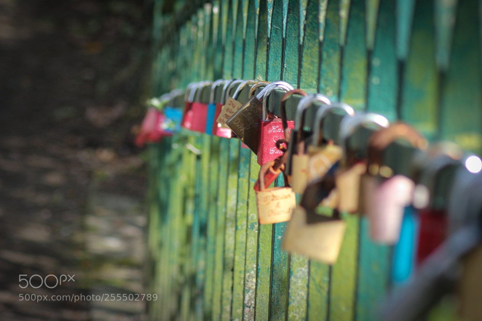 Canon EOS 60D sample photo. Img photography
