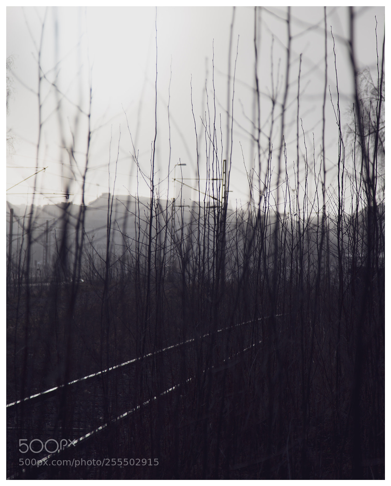 Canon EOS 6D sample photo. Railway, kotka photography
