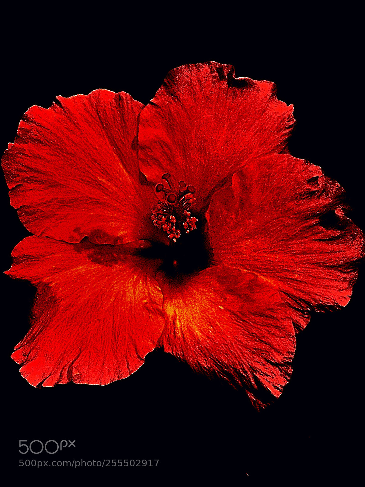 Apple iPhone 5s sample photo. Flames  photography