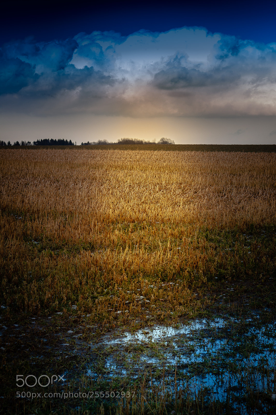 Canon EOS 50D sample photo. Evening atmosphere photography