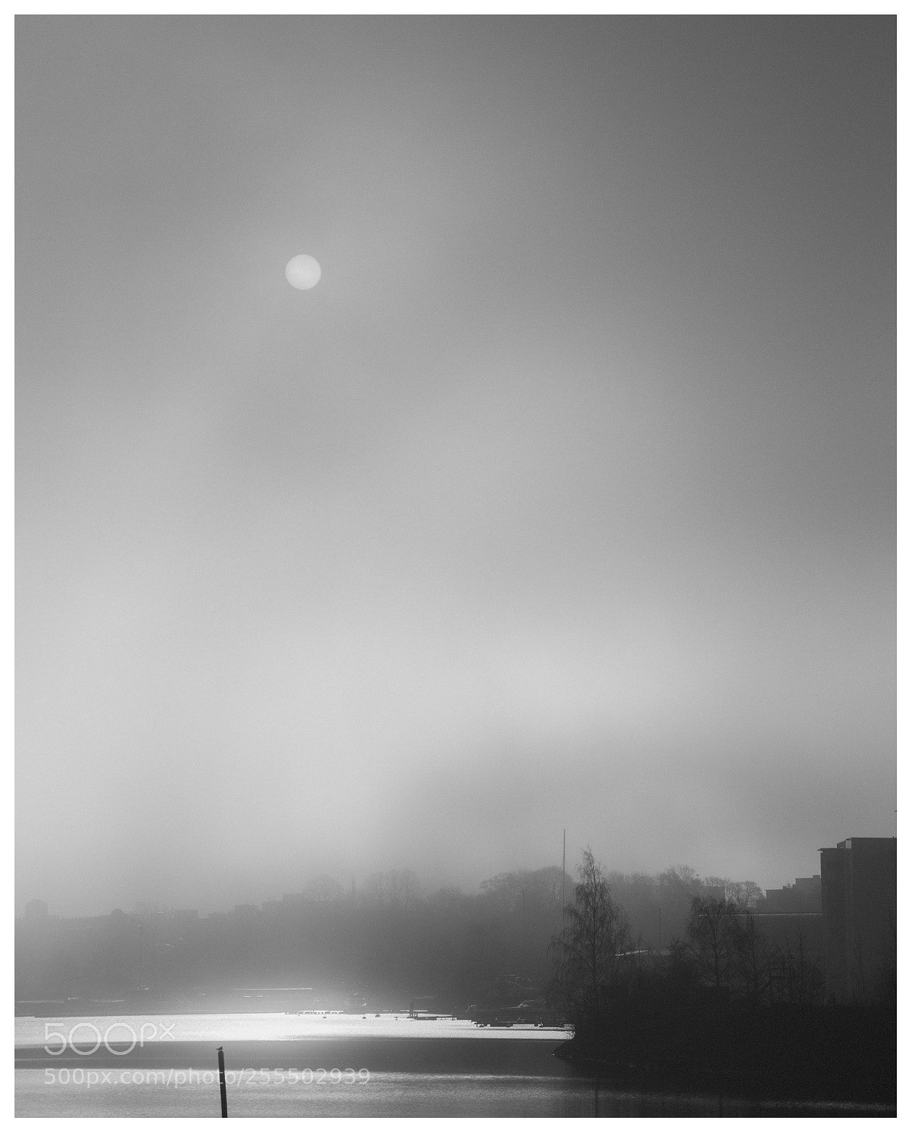 Canon EOS 6D sample photo. Morning, kotka 2 photography