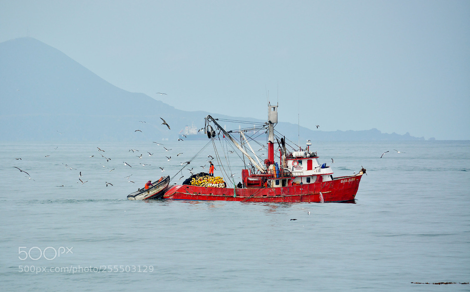 Nikon D7100 sample photo. Barco pesquero photography