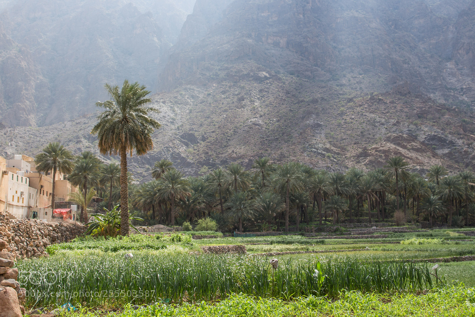 Canon EOS 700D (EOS Rebel T5i / EOS Kiss X7i) sample photo. Mountain oasis photography