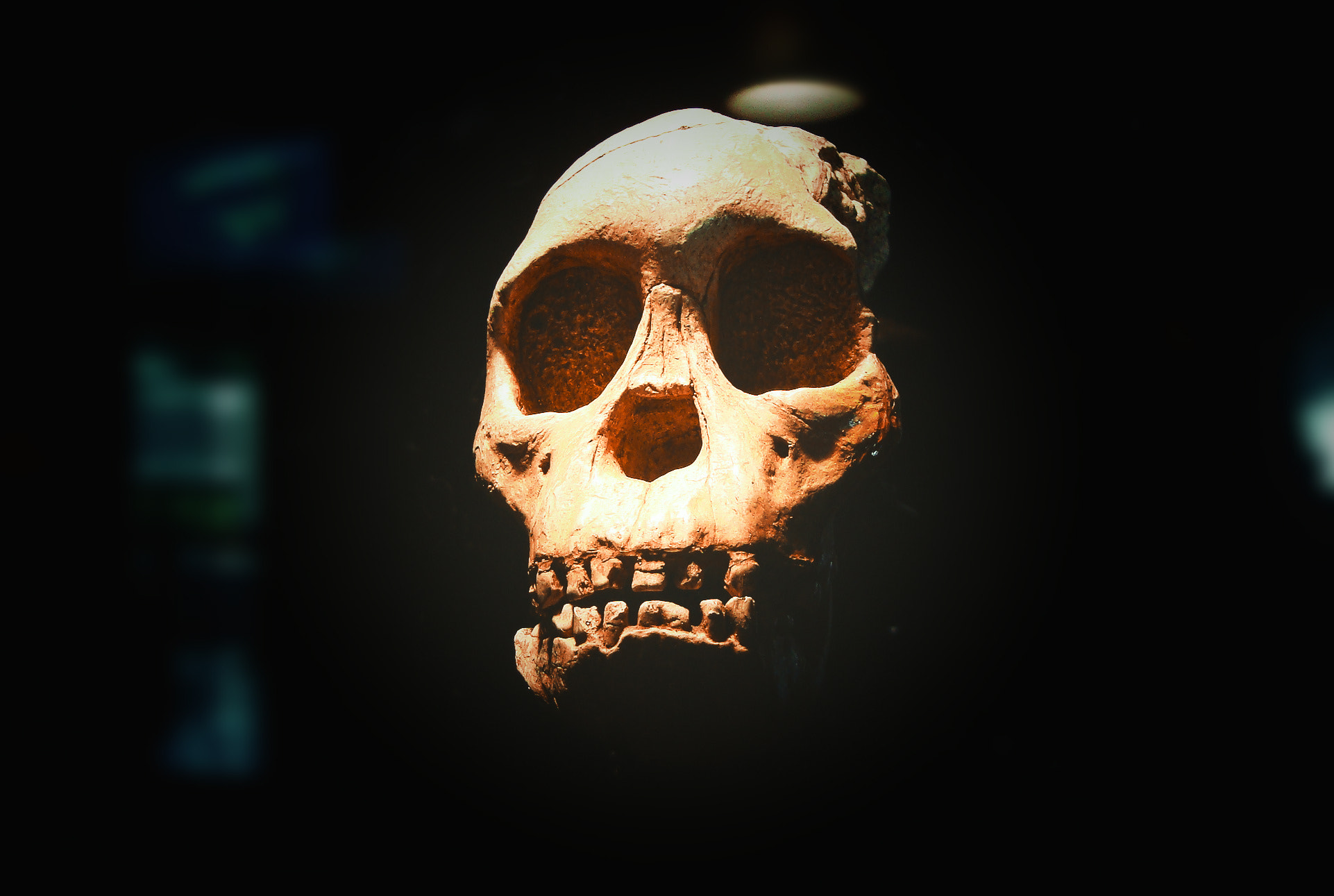 Sony Cyber-shot DSC-W120 sample photo. Skull photography