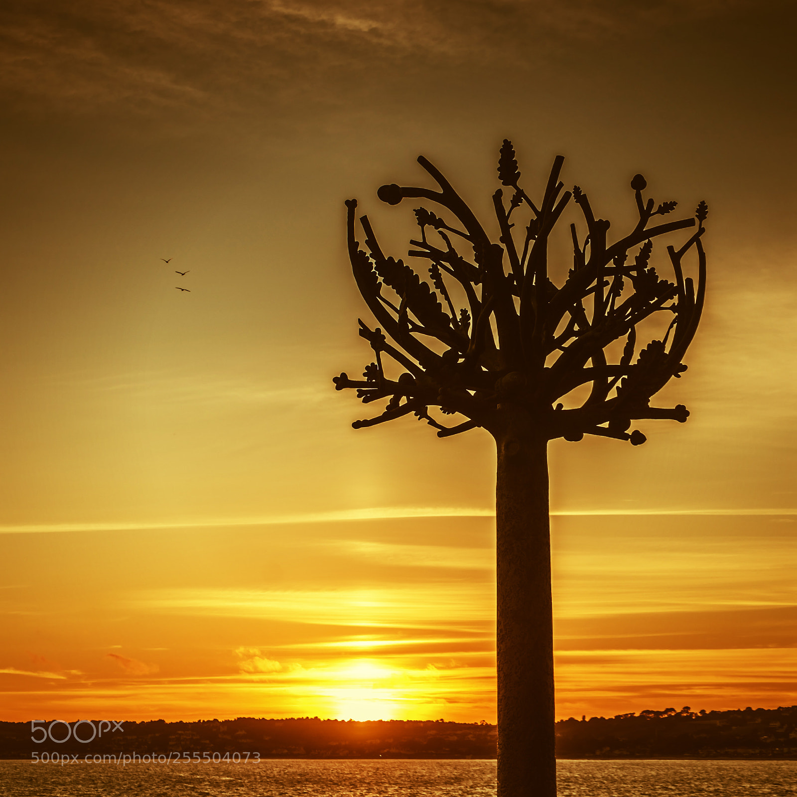 Sony a7 sample photo. Sunset tree sculpture photography