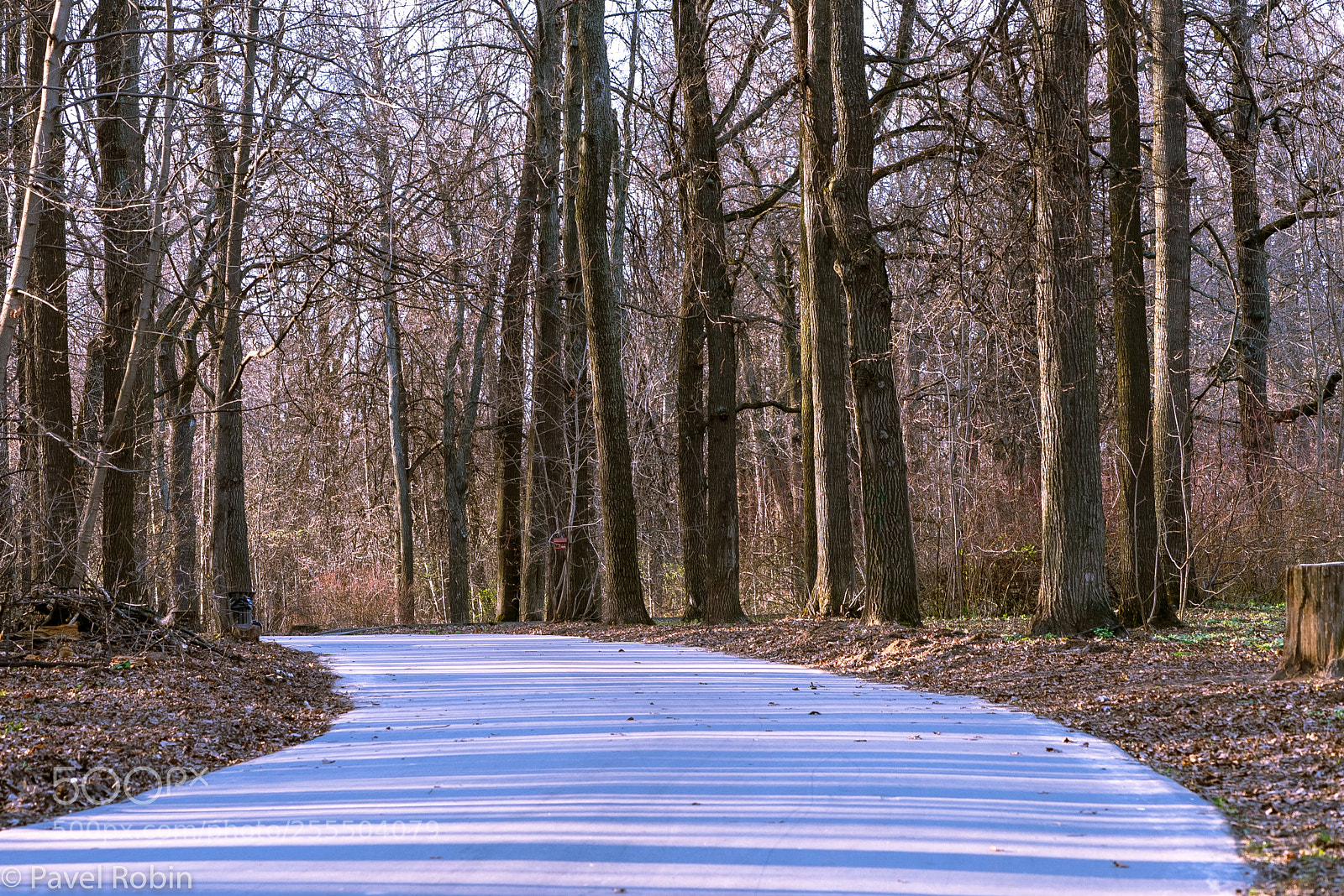 Nikon D810 sample photo. Shadows photography