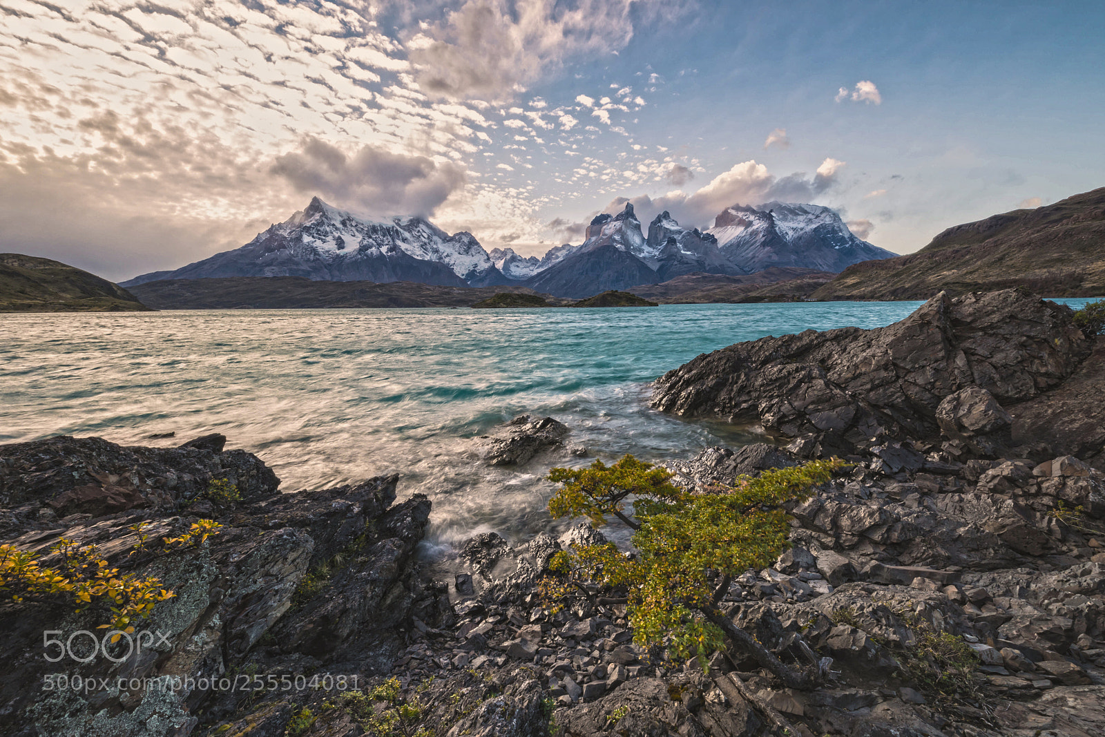 Canon EOS 5D Mark IV sample photo. Torres del paine, chile photography