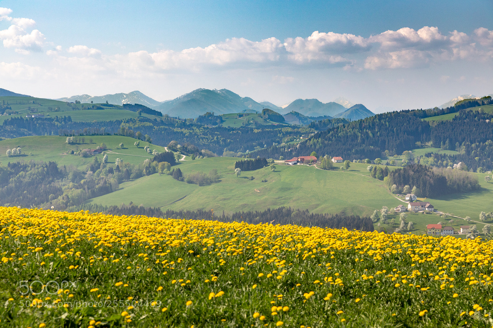 Canon EOS 5D Mark IV sample photo. Spring and the mountains photography