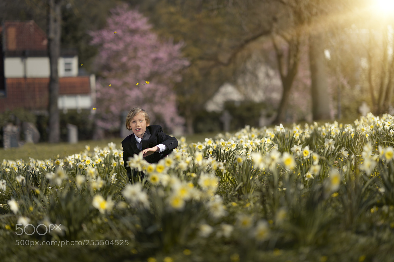 Sony a9 sample photo. Flower field photography