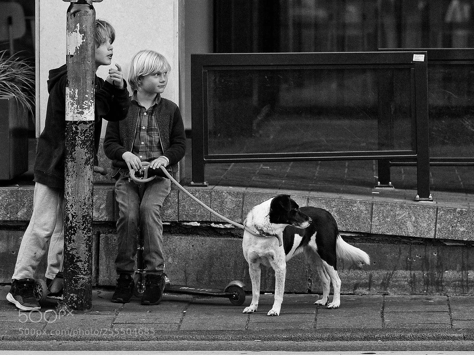 Canon EOS 5D Mark II sample photo. Amsterdam streetlife photography