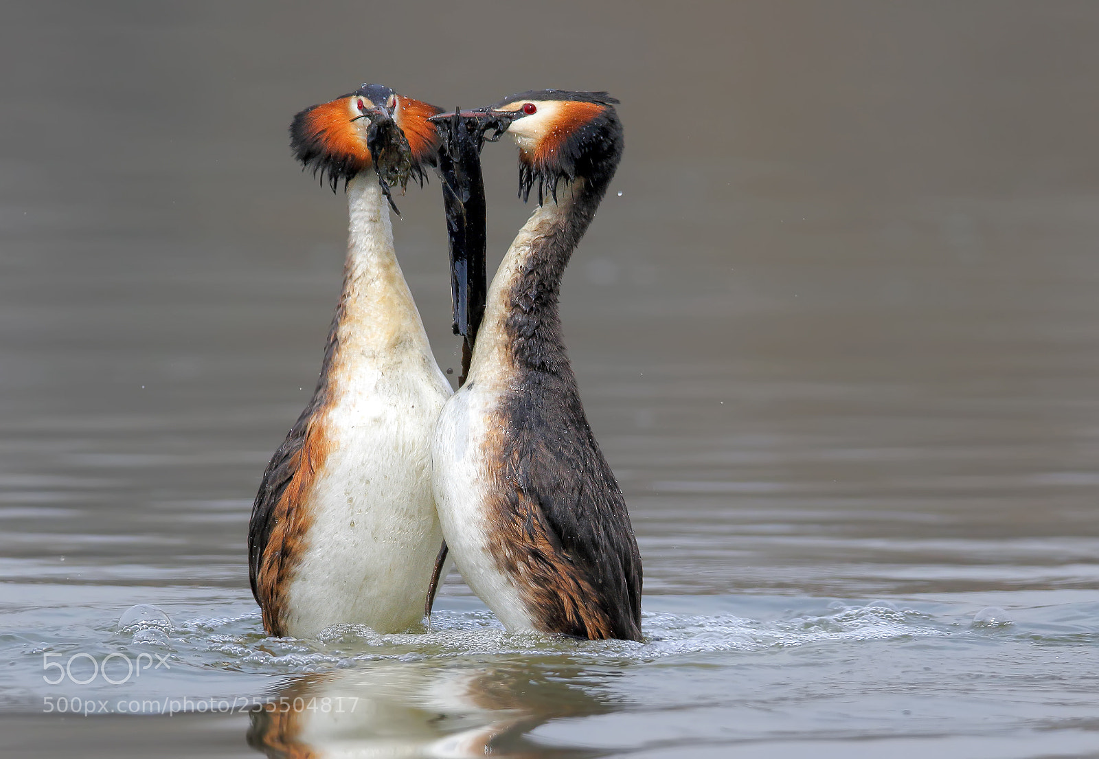 Canon EOS 7D Mark II sample photo. A dancing couple photography