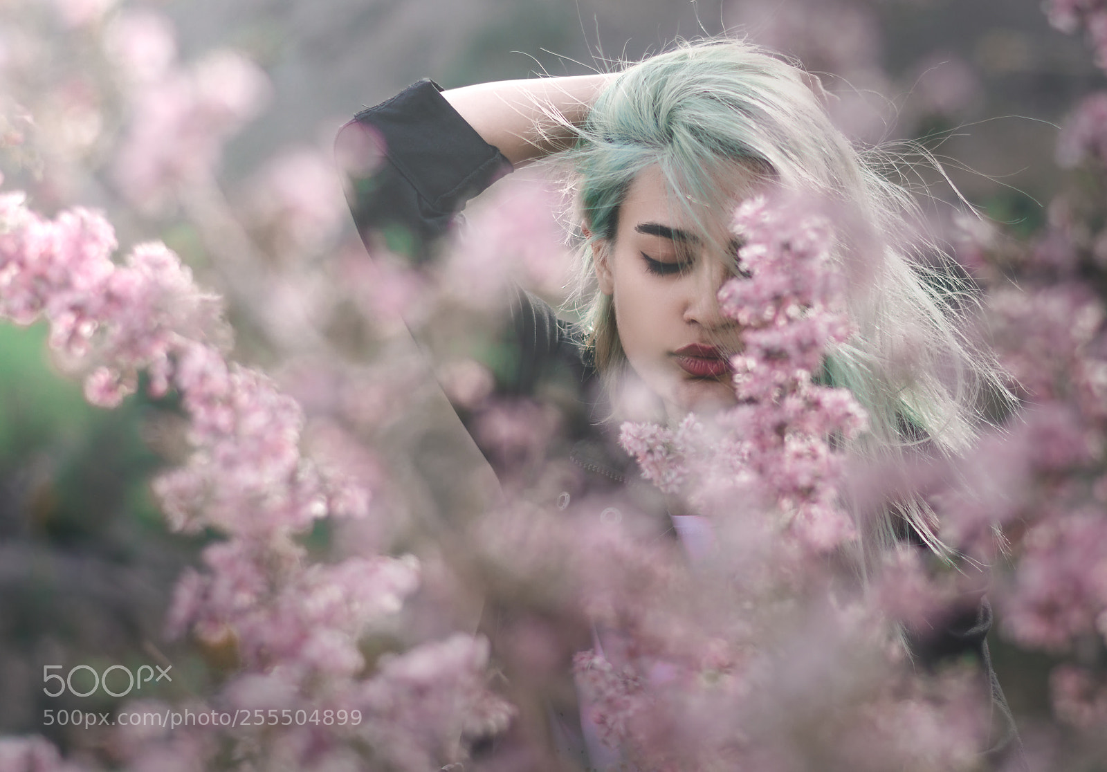 Nikon D7200 sample photo. Blossoms photography