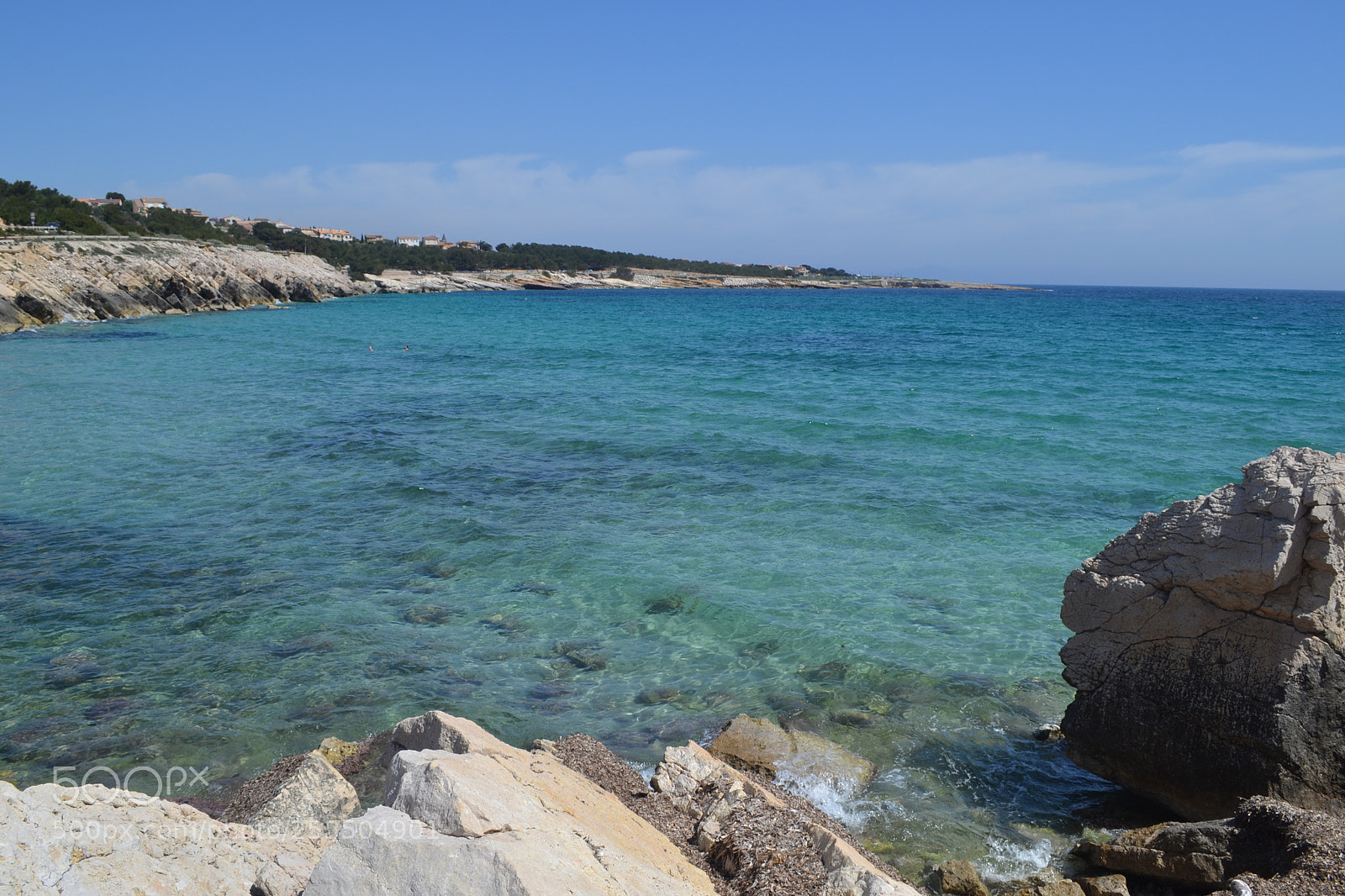 Nikon D3100 sample photo. Untitled photography