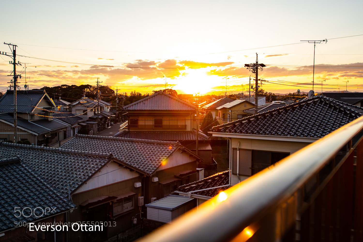 Nikon D500 sample photo. Good afternoon! photography
