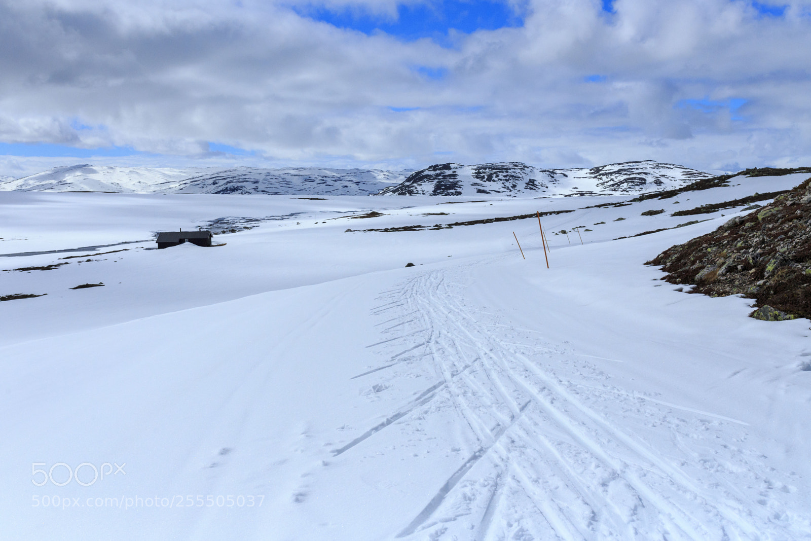 Canon EOS 6D sample photo. Cross country skiing in photography