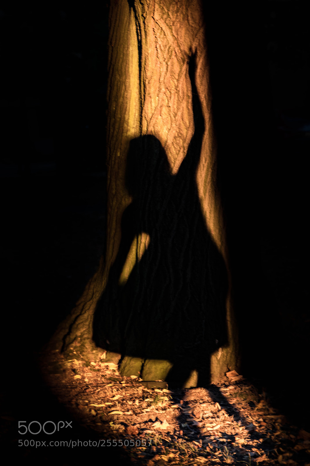 Canon EOS 760D (EOS Rebel T6s / EOS 8000D) sample photo. Dancing in the shadows photography