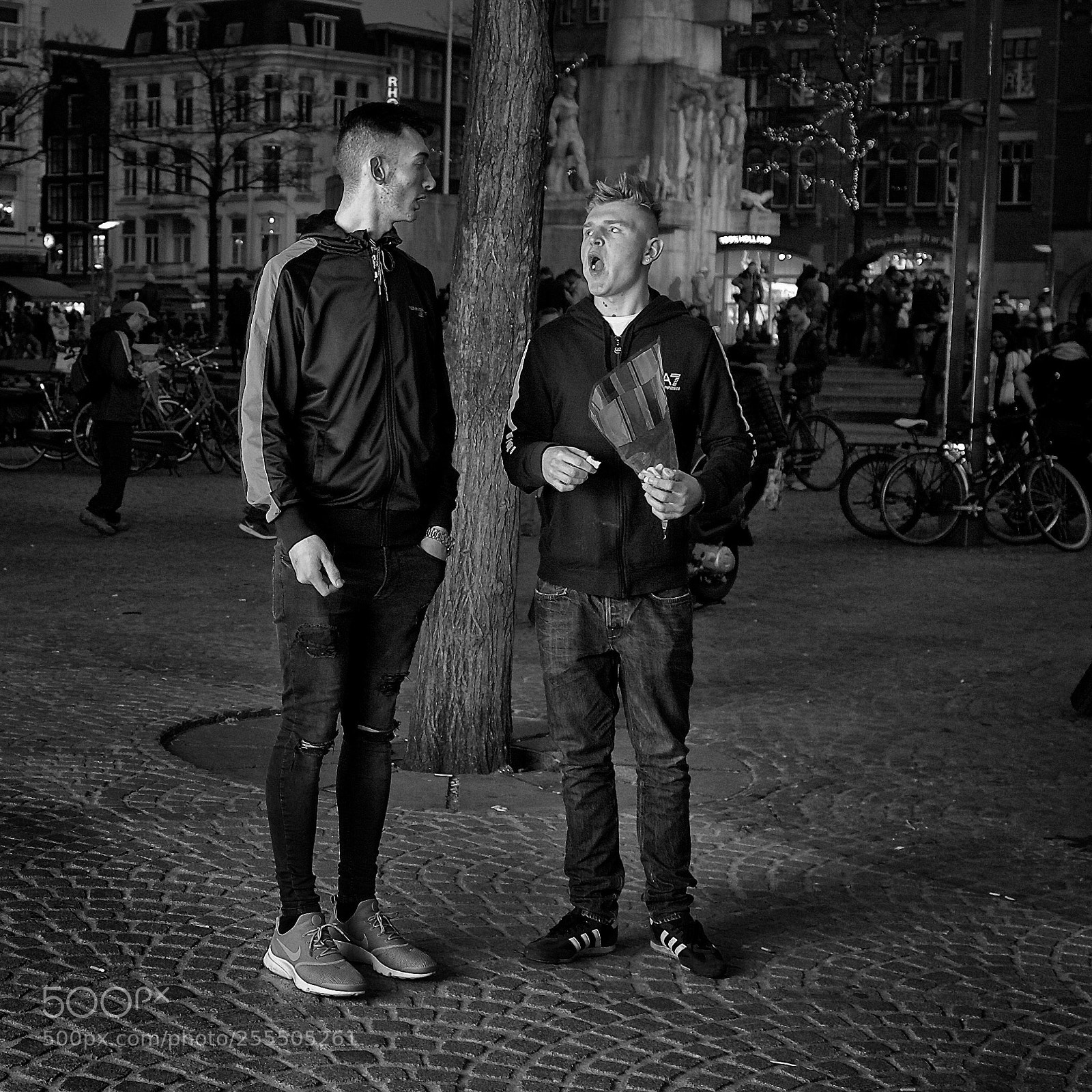 Canon EOS 5D Mark II sample photo. Amsterdam candy photography